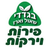 לוגו בגדדי שאול וארז